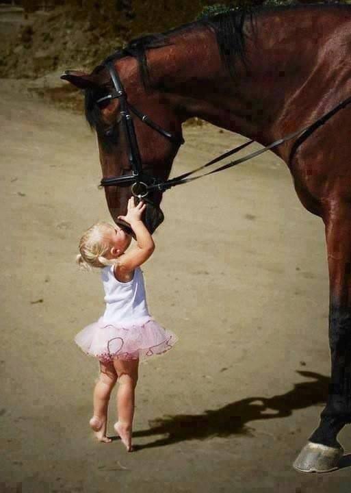 Menina e cavalo